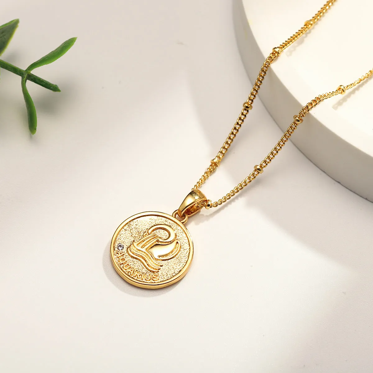 Aquarius Constellation Coin Pendant Necklace