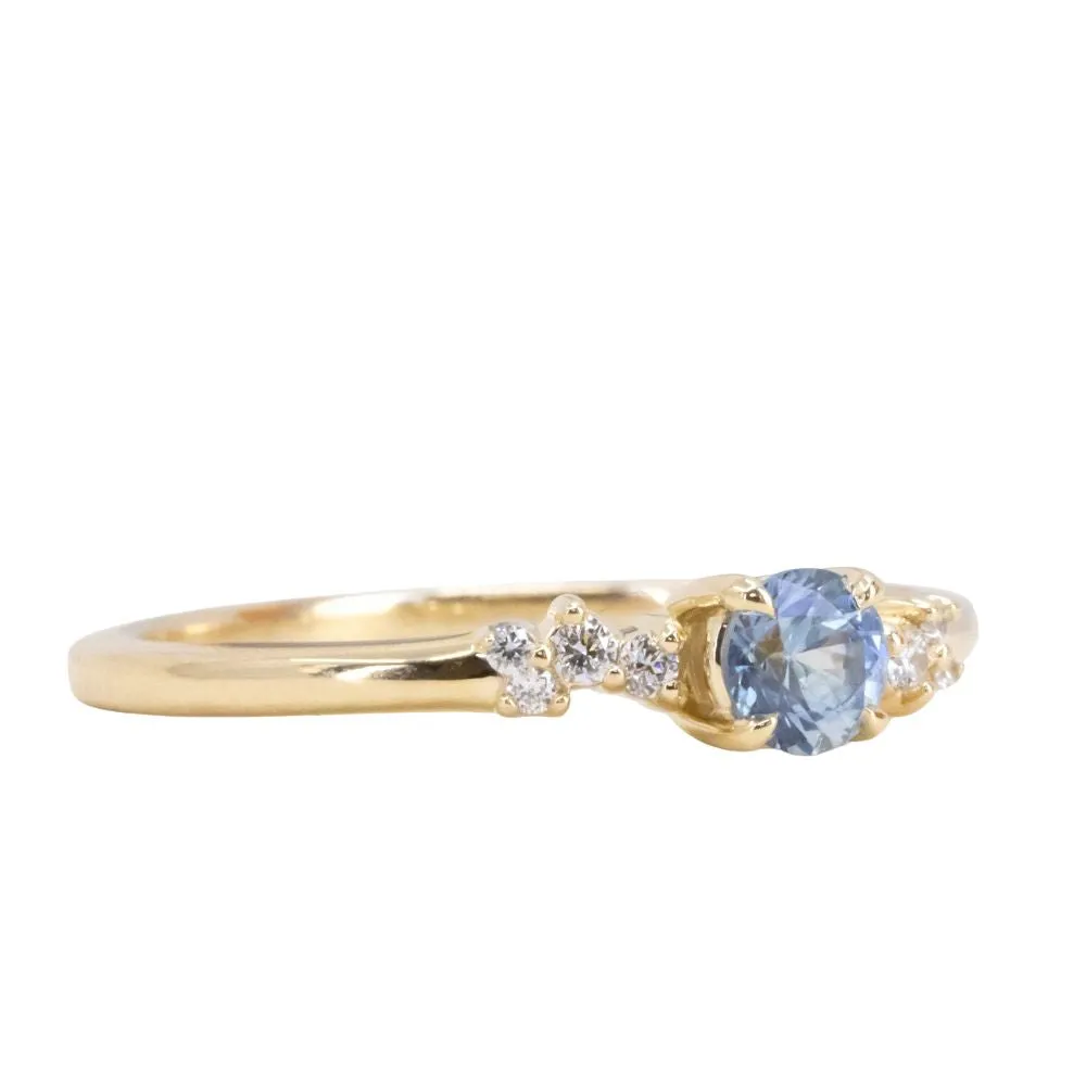 Blue Sapphire and Diamond Micro Starry Night Low Profile Solitaire in 14k Yellow Gold