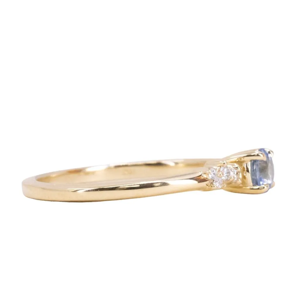 Blue Sapphire and Diamond Micro Starry Night Low Profile Solitaire in 14k Yellow Gold