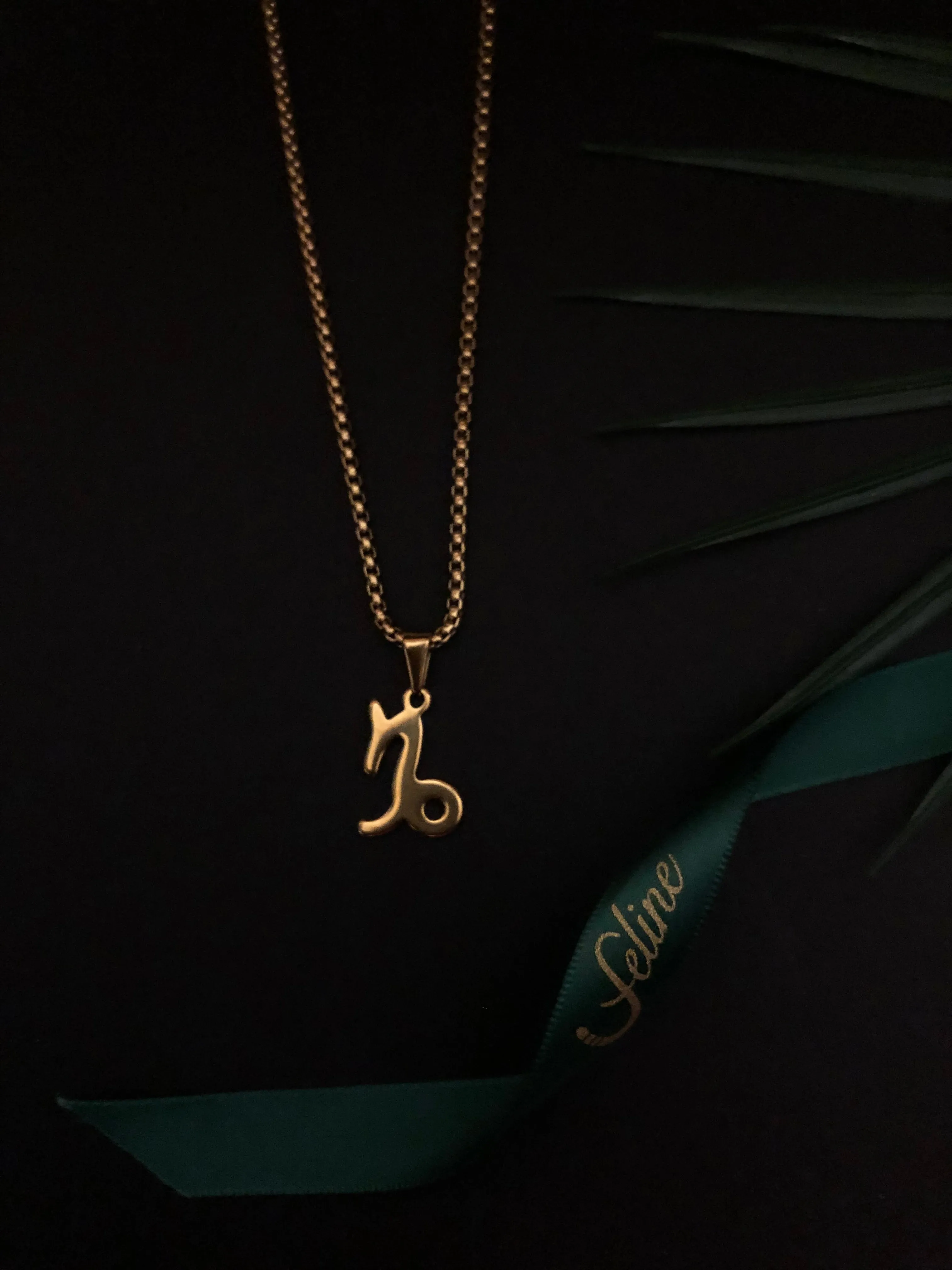 Capricorn Flat Horoscope Necklace