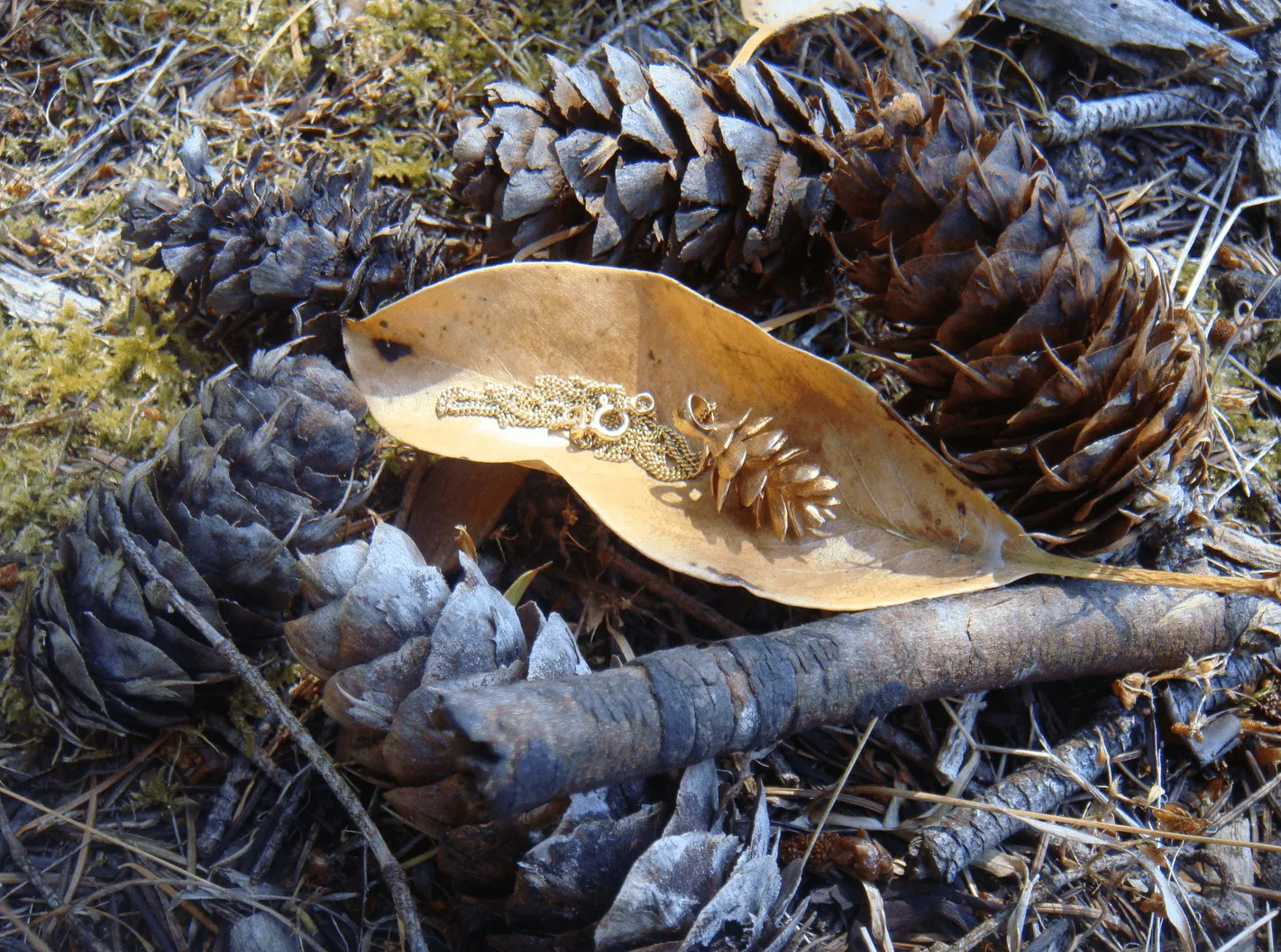 Pinecone Pendant Silver